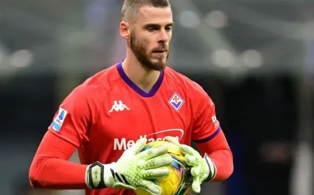 دافيد دي خيا من مطرود بلا نادٍ إلى قائد ملهم في فيورنتينا