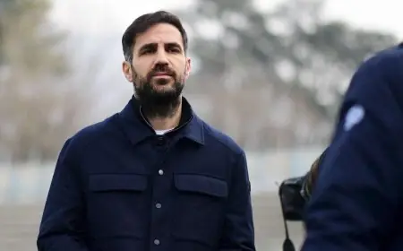 سيسك فابريغاس يفضح أزمة تشابي ألونسو في ريال مدريد