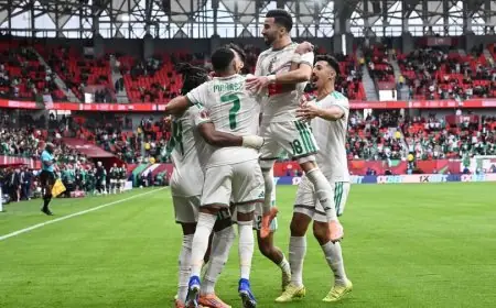 إحصائيات ما بعد انتصار الجزائر بثلاثية على السودان في كأس أمم أفريقيا