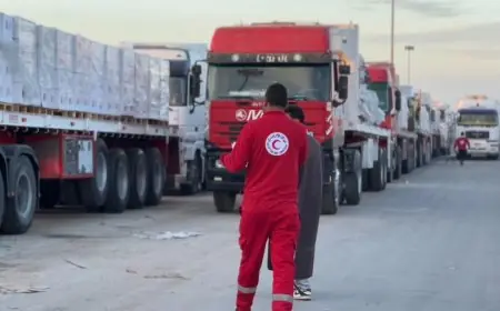 الهلال الأحمر المصري يساهم بـ 5900 طن من المساعدات الإنسانية والشتوية لدعم غزة