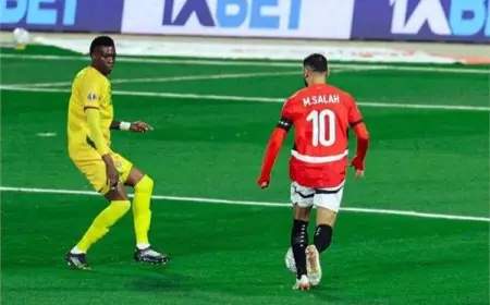 تاريخ مواجهات مصر وجنوب أفريقيا: كل ما تحتاج معرفته قبل لقاء الجمعة المرتقب