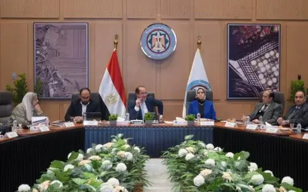 المالية تقدم حزم مبادرات متتالية لمعالجة تحديات الضرائب وتحسين الأثر على المواطنين