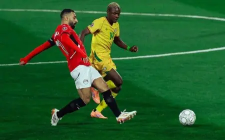 مدرب جنوب إفريقيا يؤكد: نحن غير قلقين من مواجهة محمد صلاح وعمر مرموش