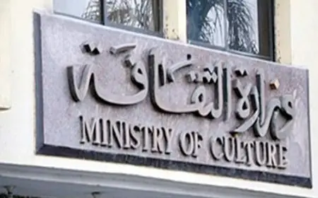 اكتشاف المواهب الشابة في مصر من خلال قصور الثقافة في كل محافظة