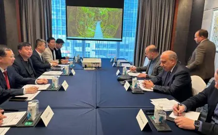 تعاون مرتقب بين وزير الكهرباء وشركات صينية لتعزيز الطاقة المتجددة في الدول العربية