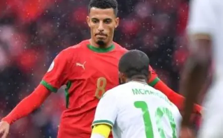 تعادل مثير بين أنجولا وزيمبابوي في الشوط الأول ضمن مجموعة مصر