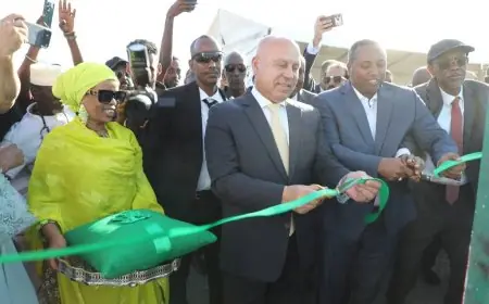 مصر وجيبوتي تطلقان أكبر محطة طاقة شمسية تضيء الريف في عرتا