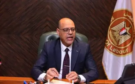 وزير العمل يعلن عن قرار جديد لتحديد ساعات العمل في المصانع الصناعية