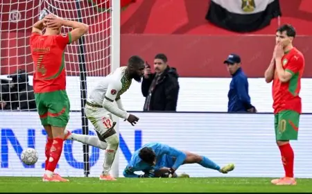 تعرف على إحصائيات مباراة المغرب ومالي بعد تعادل أسود الأطلس في قمة المجموعة الأولى بكأس أمم أفريقيا