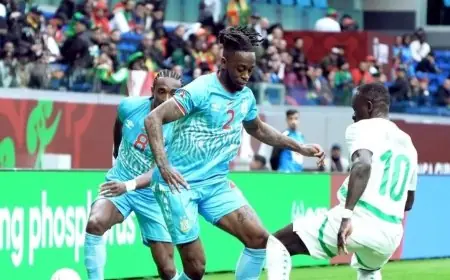 السنغال والكونغو الديمقراطية: نتائج وتحليل مباراة المجموعة الرابعة في كأس أمم أفريقيا