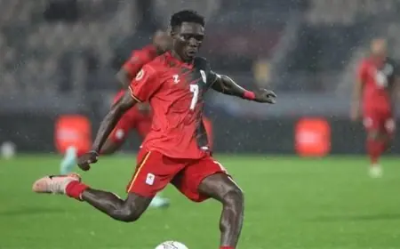 مباراة أوغندا وتنزانيا في كأس أمم أفريقيا: أبرز الأرقام والحقائق عن المجموعة الثالثة