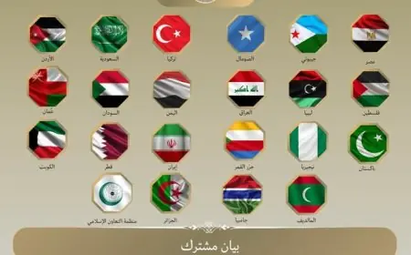 بيان مشترك من دول عالمية ضد اعتراف إسرائيل بإقليم أرض الصومال