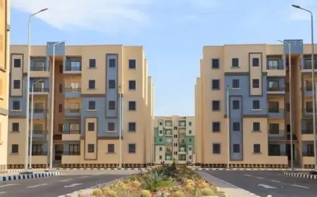 طريقة معرفة نتائج سكن لكل المصريين 7 بكل سهولة