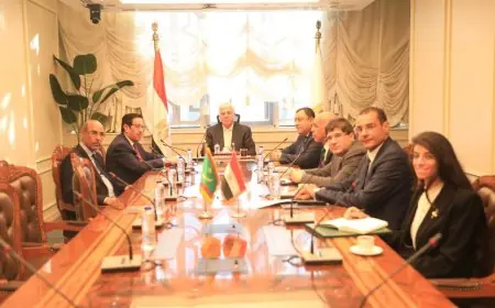 وزير التعليم العالي يناقش تعزيز التعاون مع سفير موريتانيا في القاهرة في مجالات التعليم العالي