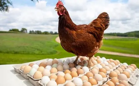 Please provide the original headline you would like rewritten.