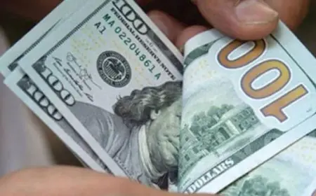 تحديثات جديدة: تعرف على سعر الدولار مقابل الجنيه اليوم الأحد في ختام التعاملات