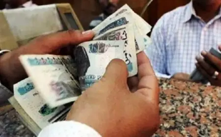 معيار استحقاق الدعم النقدي هو الدخل العائلي وليس عدد الأفراد حسب تصريحات الحمصاني