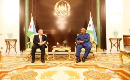 كامل الوزير يثني على كفاءة الشركات المصرية في تنفيذ مشروعات بجمهورية جيبوتي