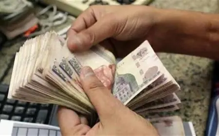 اكتشف كيفية الاستعلام وتغيير جهة صرف معاشات يناير 2026 بكل التفاصيل المهمة