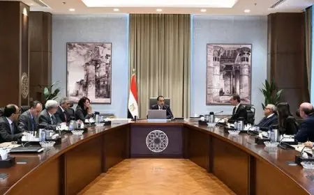 خطة إصلاح شاملة: إلغاء 4 هيئات ودمج 7 لإعادة هيكلة الاقتصاد