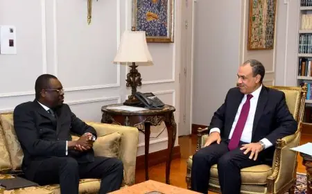 وزير الخارجية يؤكد التزام مصر بتعزيز الصحة والأمن الدوائي في أفريقيا