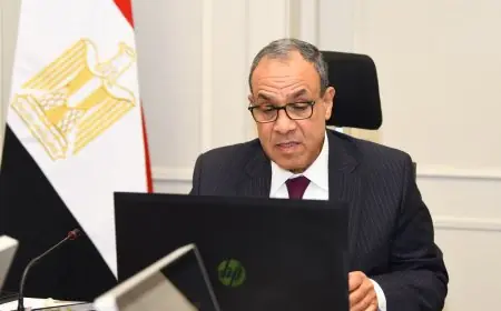 مصر ترفض الاعتراف الإسرائيلي بأرض الصومال لانتهاك القانون الدولي وزير الخارجية يؤكد