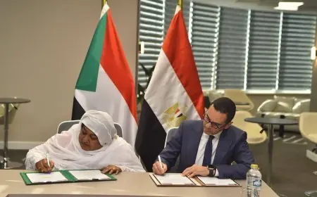 مصر والسودان يقودان اجتماعات اللجنة التجارية والصناعية المشتركة في قلب القاهرة