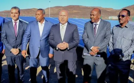 التكامل التنموي بين مصر وجيبوتي يضع أساسًا لنموذج جديد في القرن الأفريقي