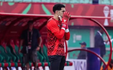 حسام حسن يجعل مصطفى شوبير يسطع في تاريخ كأس أمم إفريقيا