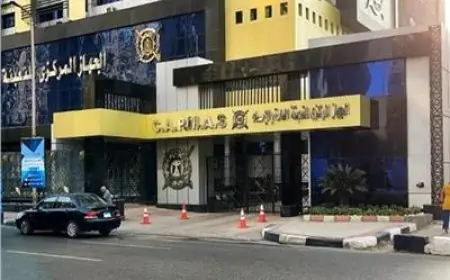 زيادة مذهلة بنسبة 2.6٪ في أعداد طلاب التعليم العالي للعام 2024-2025