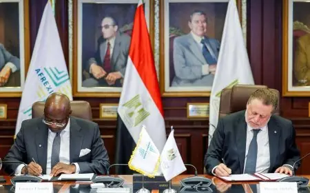 البنك المركزي وبنك التصدير والاستيراد الإفريقي يتفقان على إنشاء أول بنك للذهب في مصر
