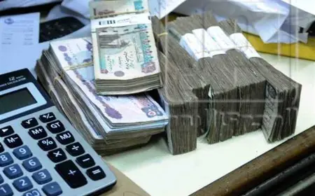 وزيرة التضامن تزف بشرى سارة لأصحاب المعاشات هذا الخميس