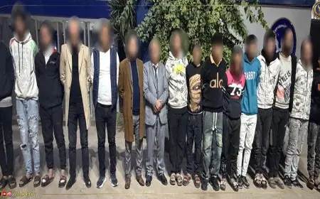 اعتقال 12 شخصًا في حفل فرح كروان مشاكل بتهم التحرش والإتلاف بعد تدخل الداخلية الفوري