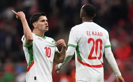 موعد مواجهة المغرب ضد تنزانيا في دور الـ16 من كأس أمم إفريقيا