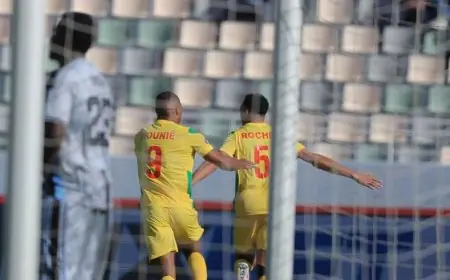 اكتشف التفاصيل الكاملة عن منتخب بنين منافس مصر في دور الـ16 لكأس أمم أفريقيا