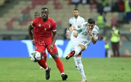 اليوم منتخب الجزائر يلتقي غينيا الاستوائية في مباراة شكلية مثيرة بكأس أمم أفريقيا