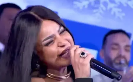 احتفالات رأس السنة في مصر بسهرات تلفزيونية مميزة تبدأ من الثامنة مساء