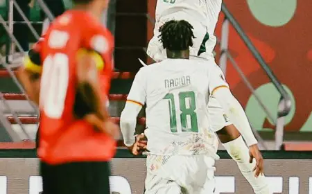 الكاميرون تطيح بموزمبيق وتتأهب لمواجهة جنوب أفريقيا في ثمن نهائي كأس أمم أفريقيا