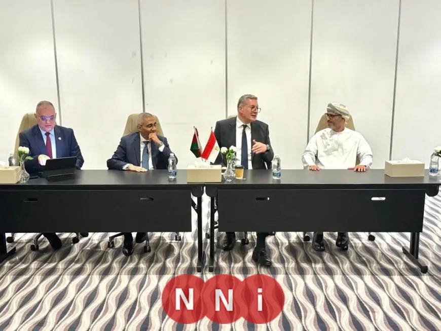 وزير البترول يناقش مشاركة بتروجت في مشروع لنقل الغاز مع “أوكيو” العمانية بقيمة 273 مليون دولار