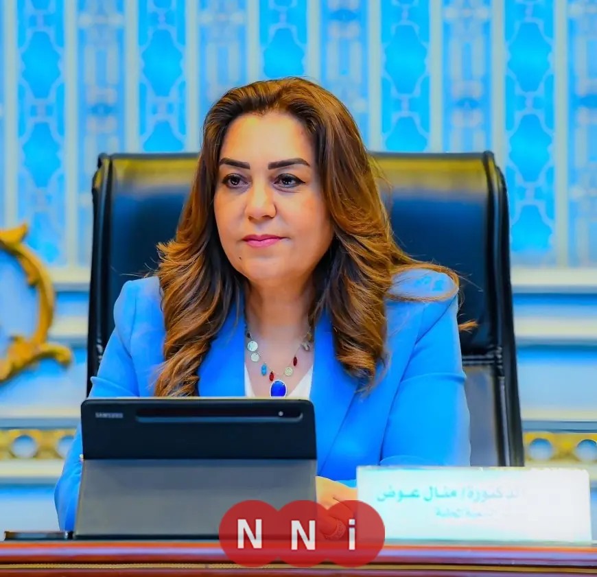 جهود وحدة السكان المركزية في وزارة التنمية المحلية لشهر نوفمبر 2025