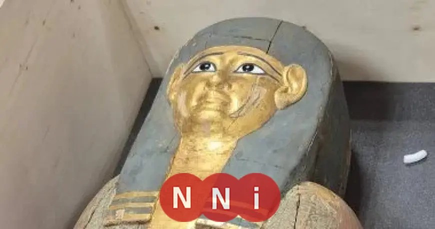 مصر تستعيد كنوزًا أثرية نادرة من بلجيكا