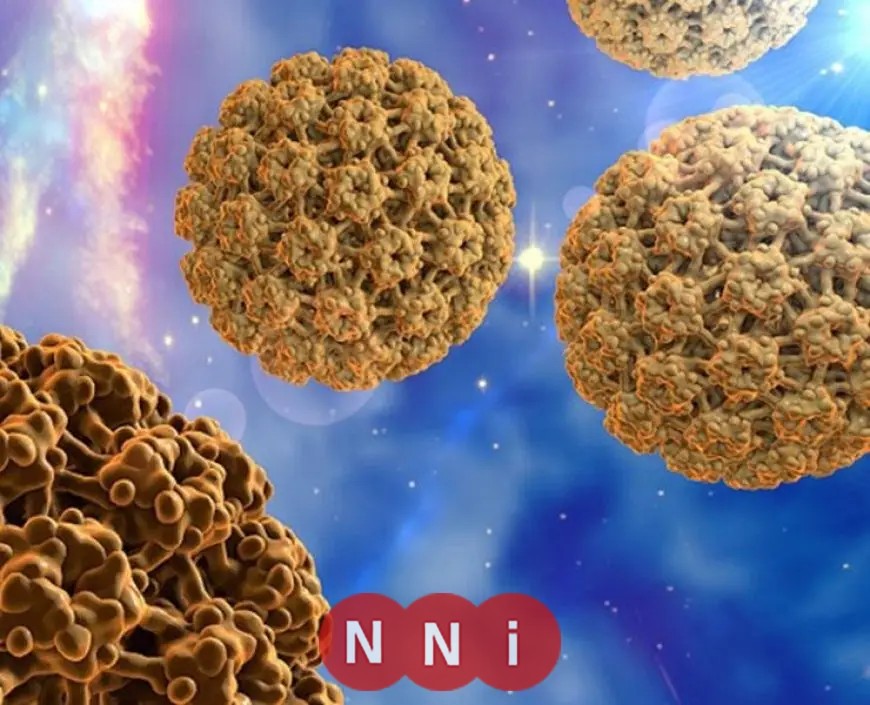 طرق انتشار فيروس ماربورج في مصر وكيفية الوقاية منه