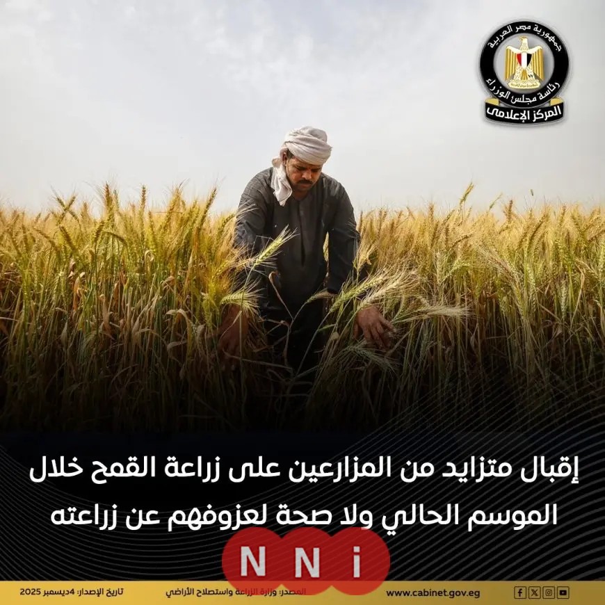 الزراعة توضح: إقبال متزايد على زراعة القمح هذا الموسم ونفي شائعات العزوف