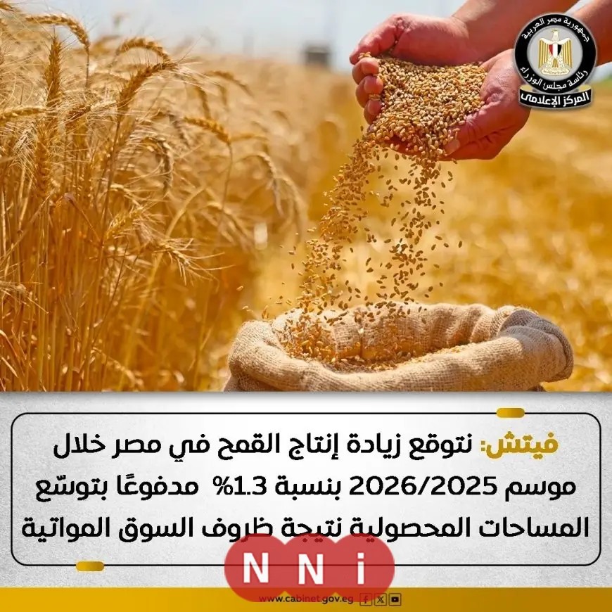 فيتش تتوقع زيادة إنتاج القمح في مصر بنسبة 1.3% بفضل مشروعات التوسع الزراعي