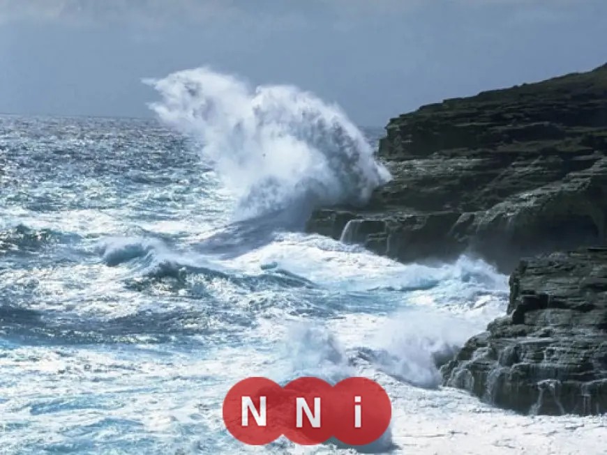 الأرصاد تكشف عن أمطار متفاوتة الشدة تضرب الدلتا خلال الساعات القادمة