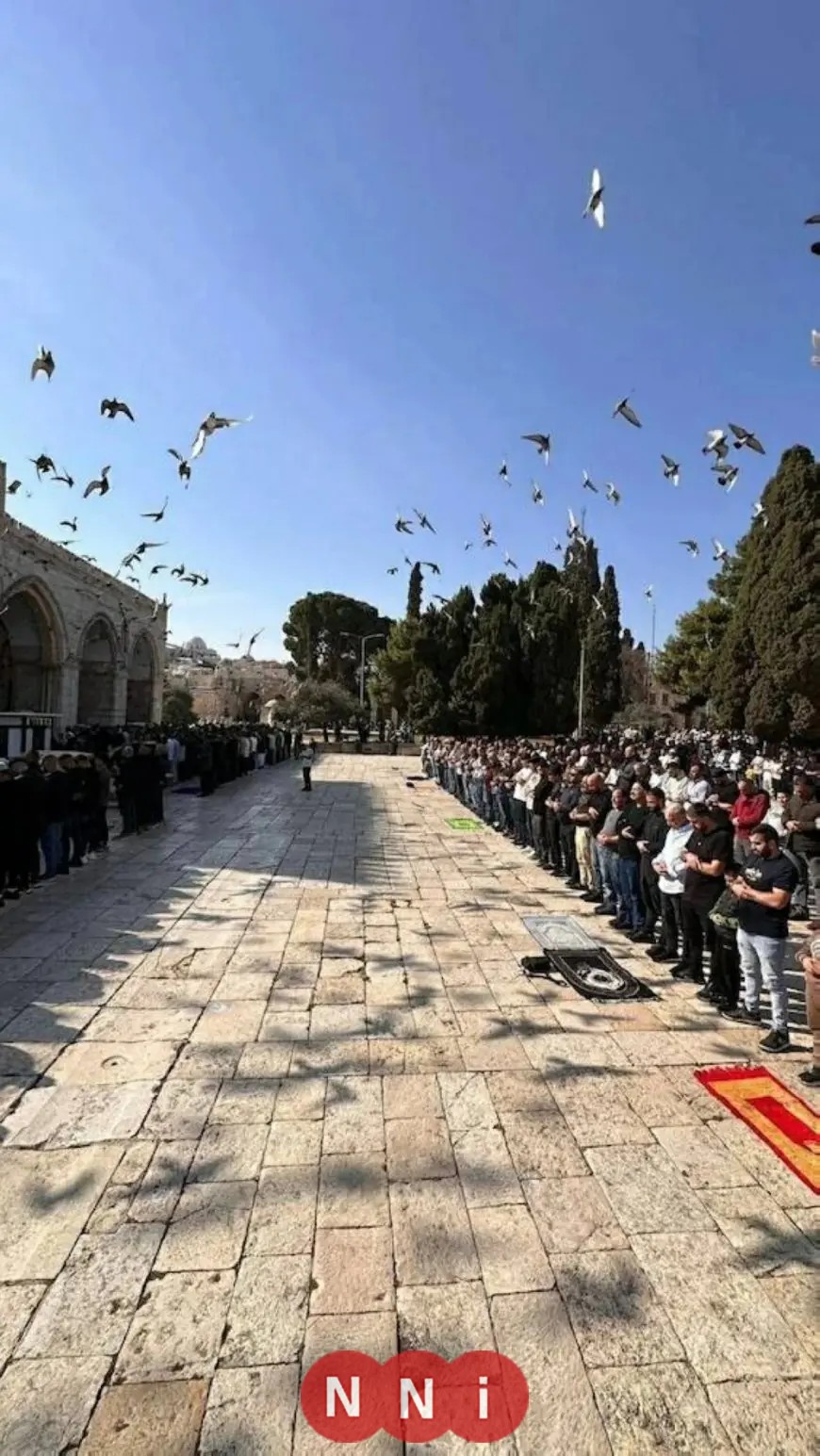 آلاف المصلين يؤدون صلاة الجمعة في الأقصى والاحتلال يعتقل أحد الحراس