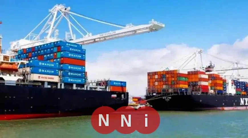 قفزة ضخمة في صادرات مصر الزراعية تصل إلى 8.8 مليون طن بزيادة 750 ألف طن مقارنة بالعام الماضي