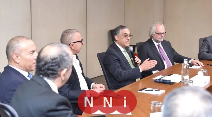 الهيئة العامة للاستثمار تكشف عن مشروع ضخم لإنتاج الأغذية المجمدة في مصر بطاقة 7200 طن سنوياً