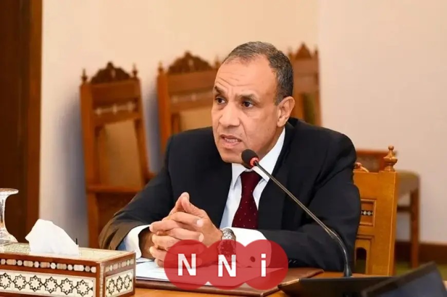 وزير الخارجية: مصر تواجه مرحلة حاسمة في تاريخها وتحيط بها التحديات من كل جانب