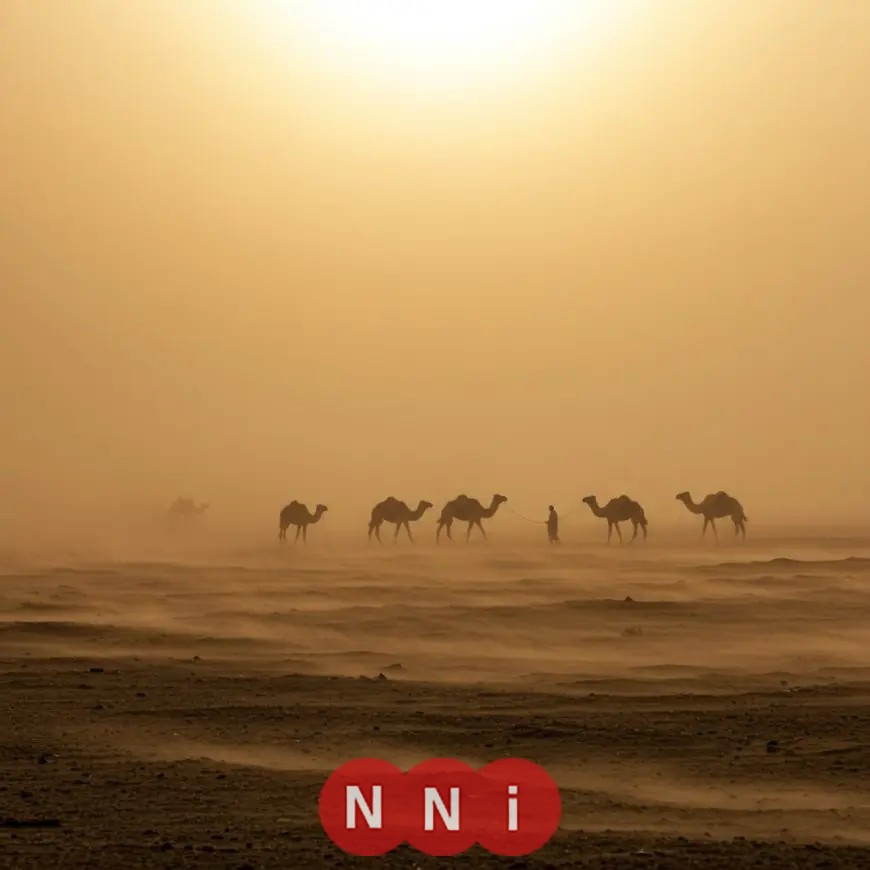 الأرصاد: توقعات بطقس بارد صباحًا مع أجواء معتدلة نهارًا وأمطار محتملة ونشاط للرياح